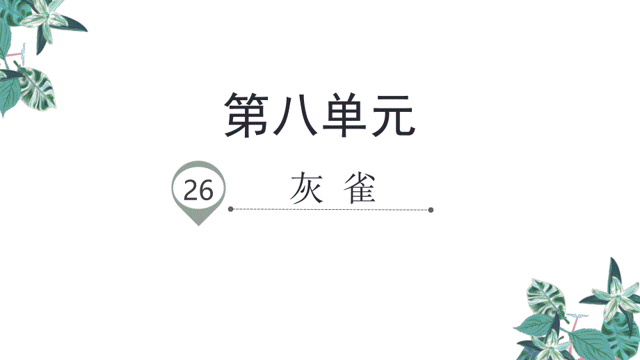 部编版三年级上册语文 26.灰雀 公开课课件 2_第1页