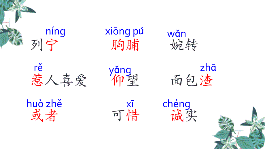 部编版三年级上册语文 26.灰雀 公开课课件 2_第3页