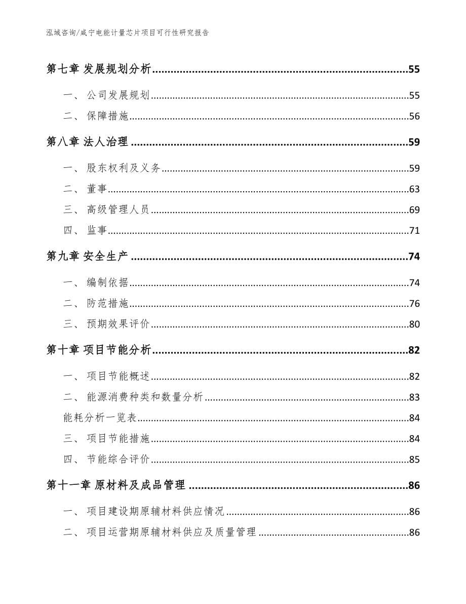 咸宁电能计量芯片项目可行性研究报告_第5页