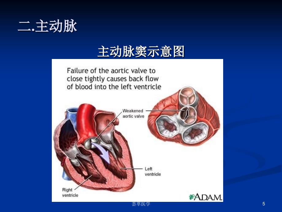 循环系统疾病总论专业医疗_第5页