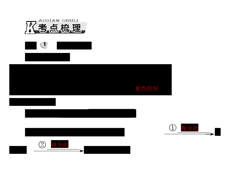 【南方课堂】高考生物总复习配套课件：选修3 专题2 细胞工程_第4页