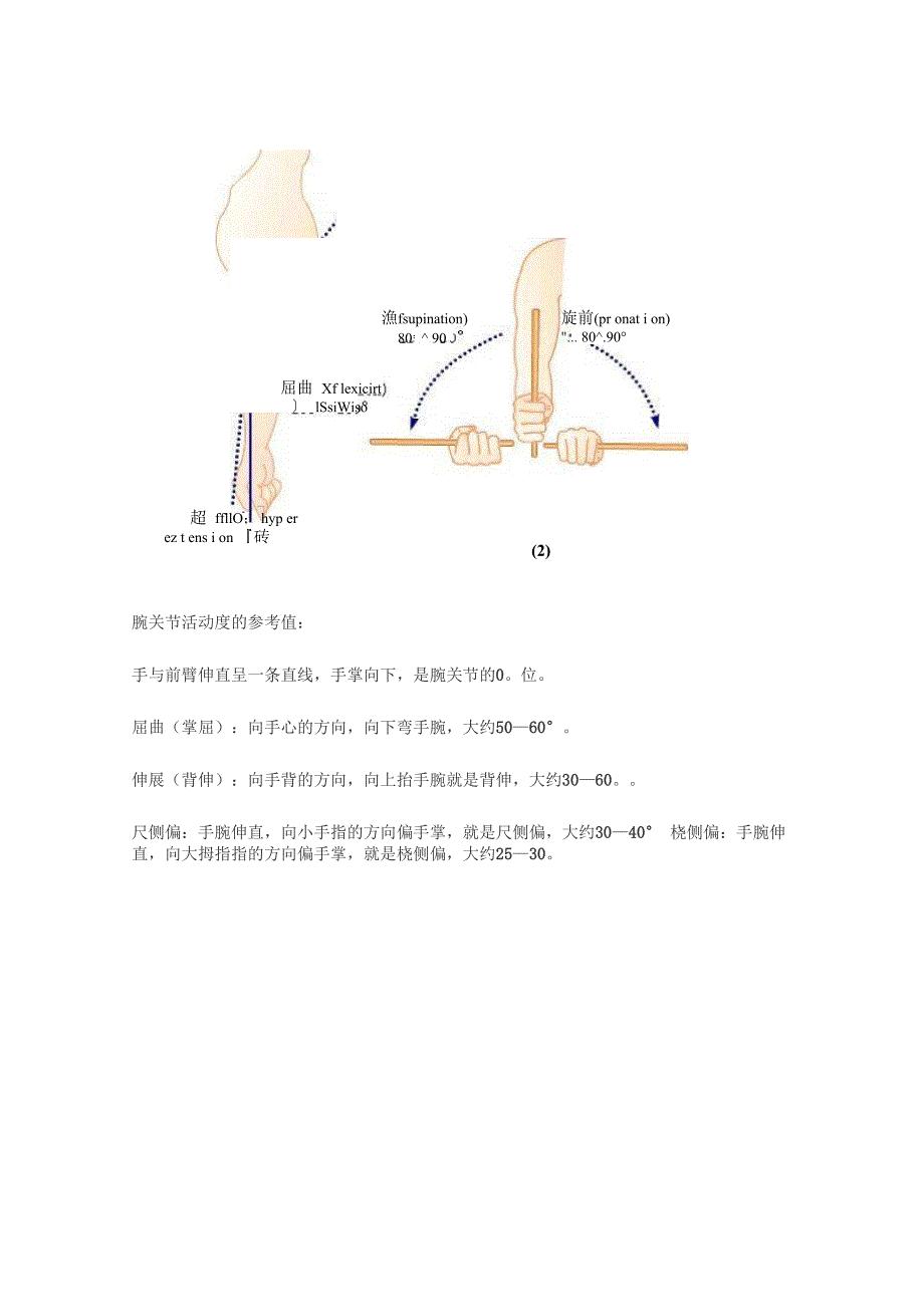 四肢关节活动度参考值概览_第3页