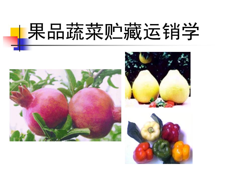 果品蔬菜贮藏运销学_第1页