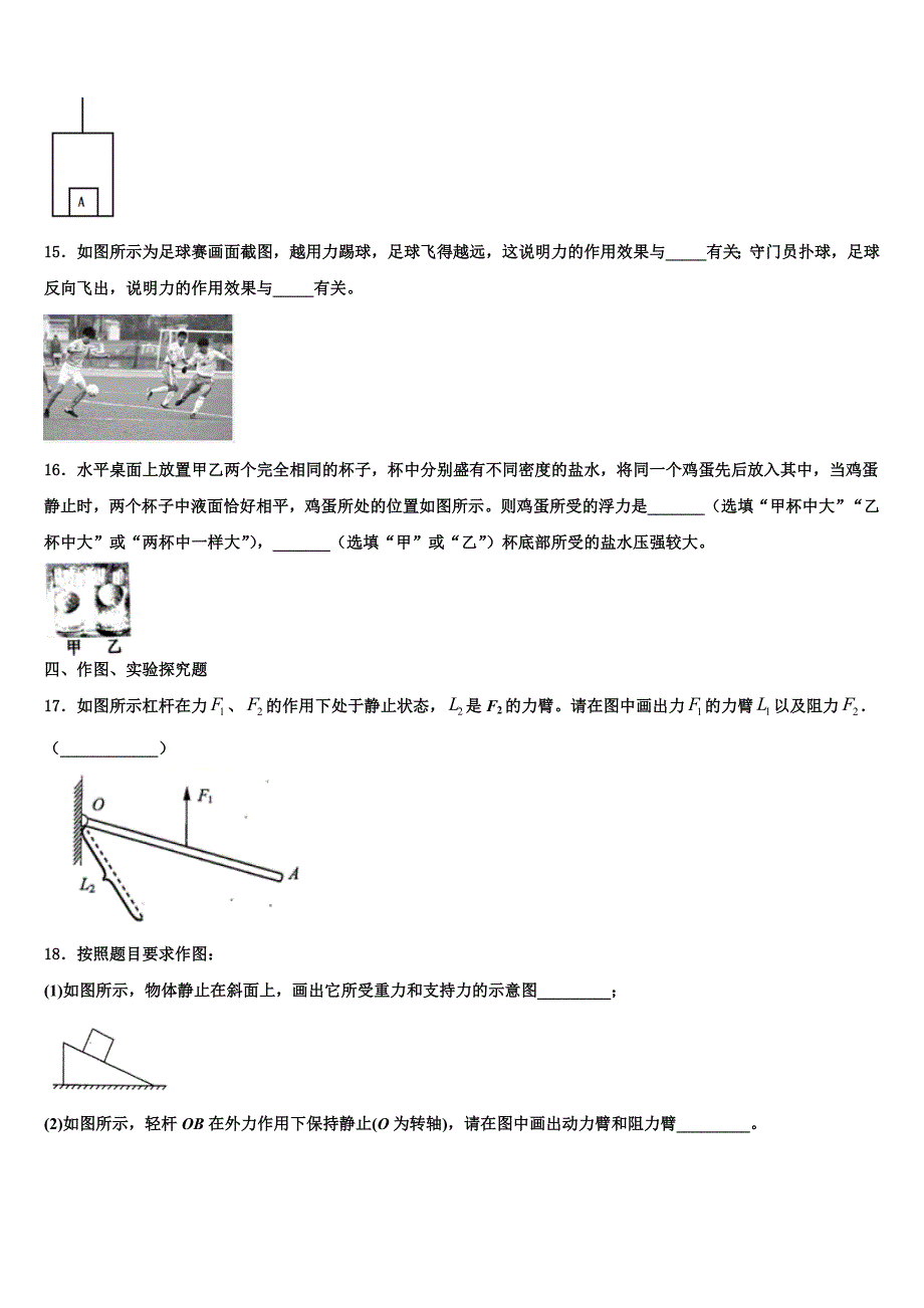 河南省漯河市2023学年八年级物理第二学期期末教学质量检测模拟试题（含解析）.doc_第4页