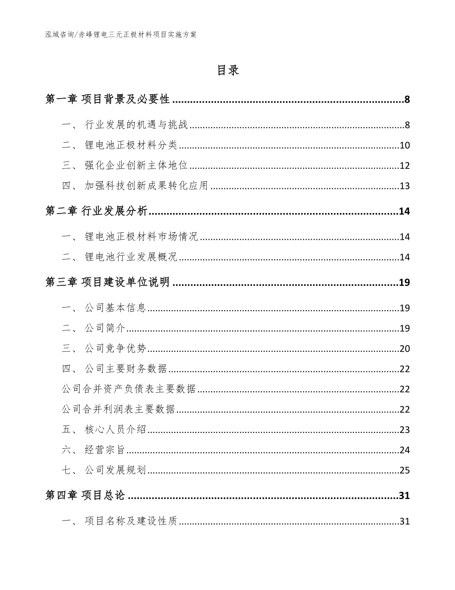 赤峰锂电三元正极材料项目实施方案模板范本_第1页