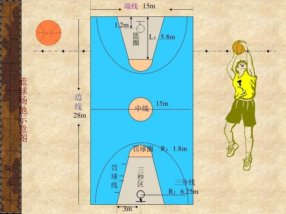 篮球基础知识理论_第5页