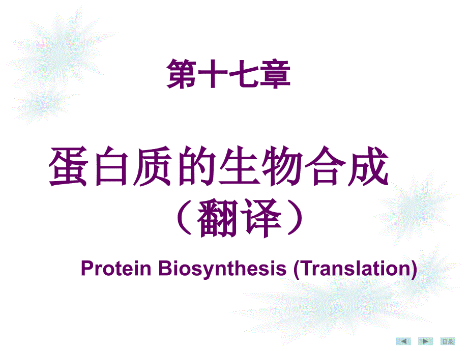 人卫8版蛋白质生物合成_第2页