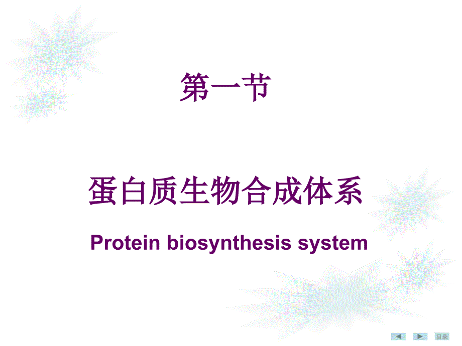 人卫8版蛋白质生物合成_第4页