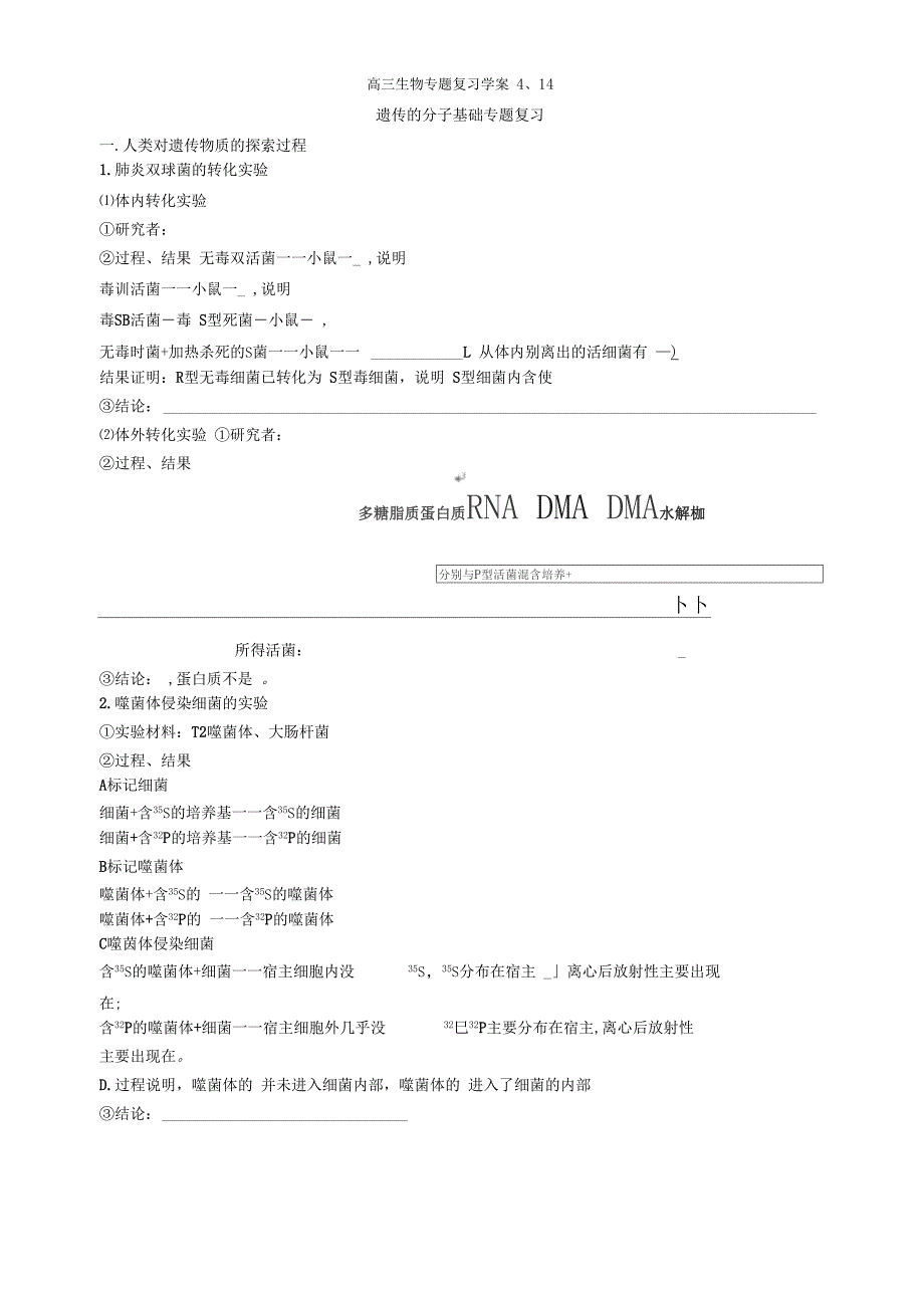 遗传的分子基础专题复习_第1页