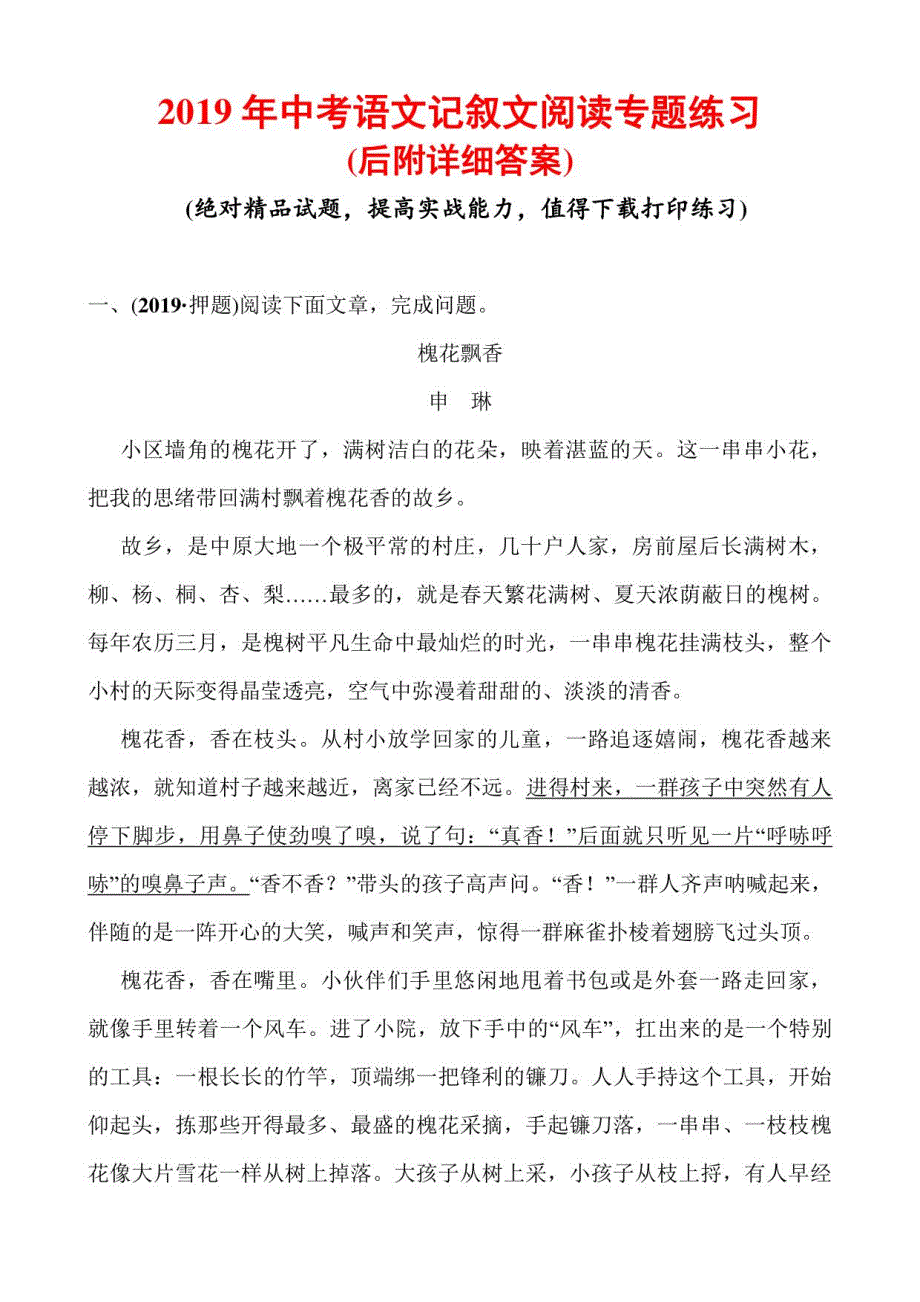 2019年中考语文记叙文阅读专题练习_第1页