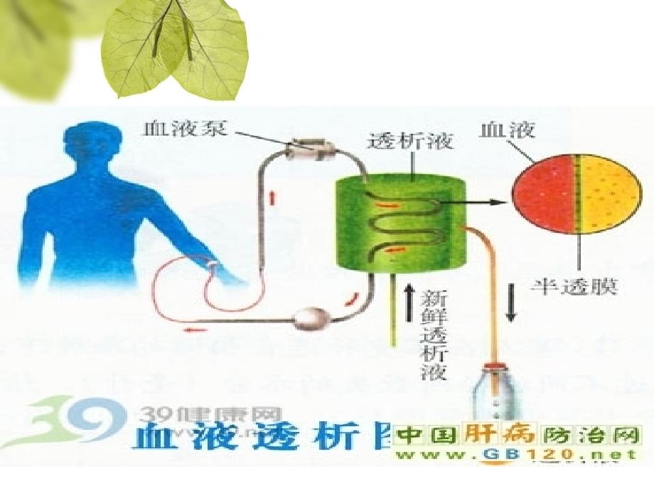 血液透析相关知识_第2页