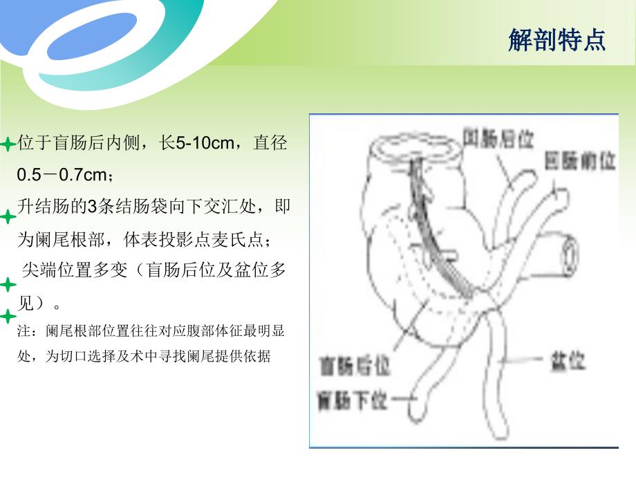 动物外科阑尾切除术_第4页