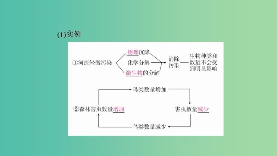 2019高考生物一轮复习 第34讲 生态系统的稳定性和生态环境的保护课件.ppt_第5页