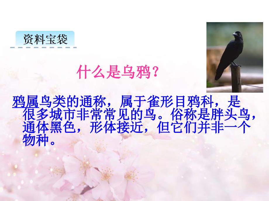 部编版一年级语文上册乌鸦喝水_第1页