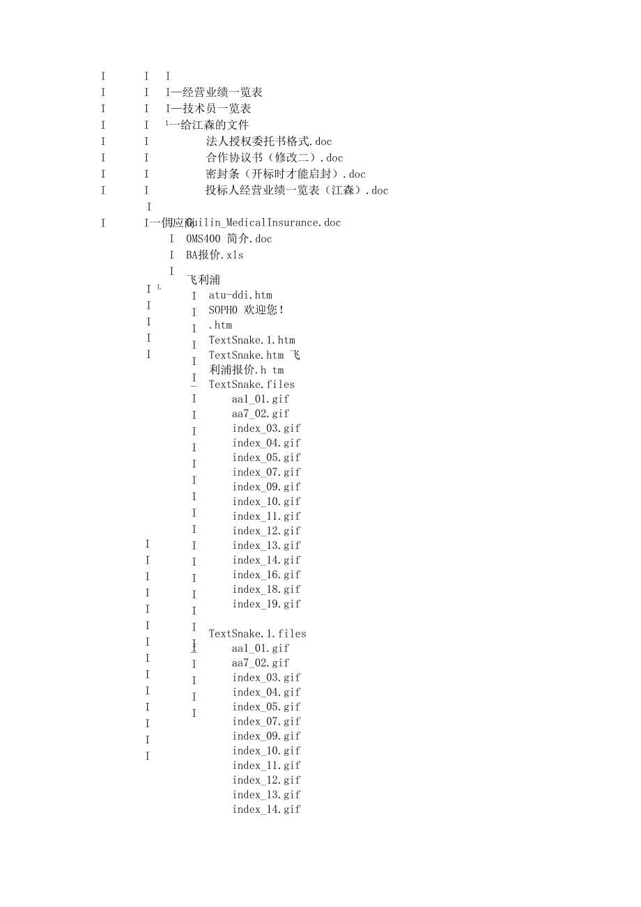 智能化系统集成解决方案_第5页