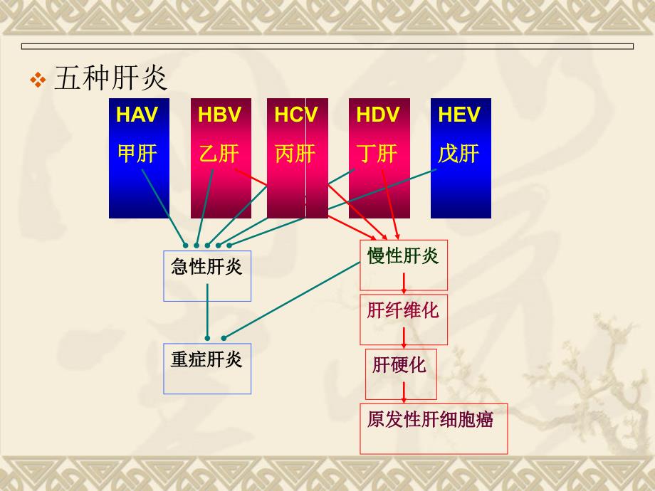 病毒性肝炎课件11_第4页