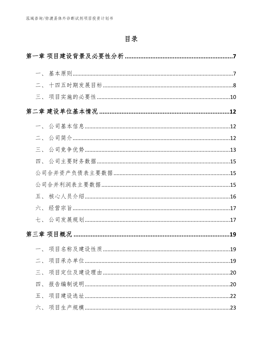 弥渡县体外诊断试剂项目投资计划书（模板）_第1页