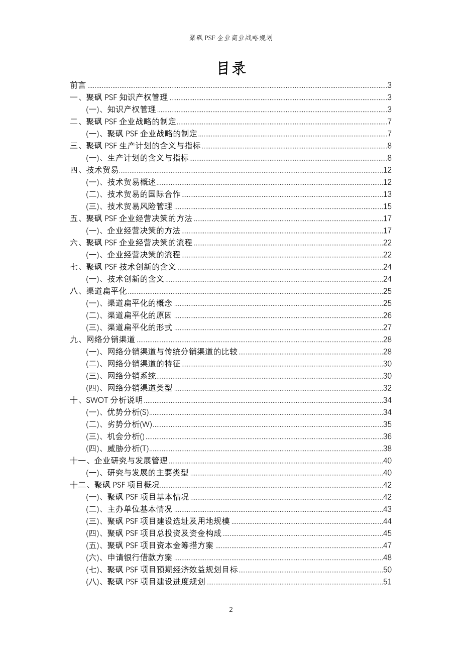 2023年聚砜PSF企业商业战略规划_第2页