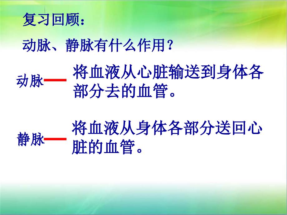 初中生物心脏课件_第1页