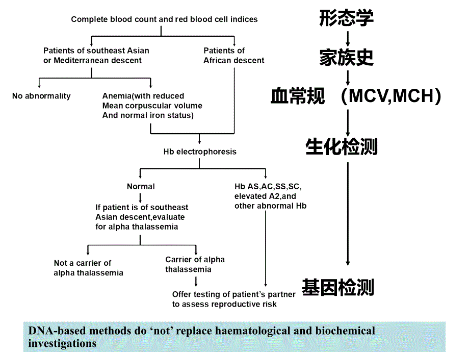 医学遗传学：第16章 遗传病的诊断_第2页