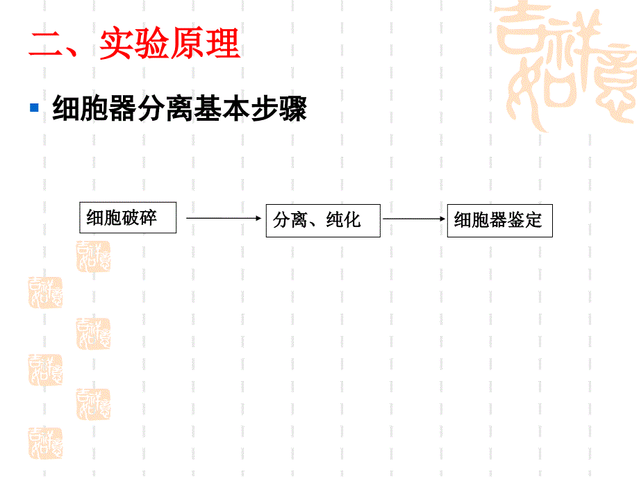 医学专题：6细胞核和线粒体的分离和观察_第3页