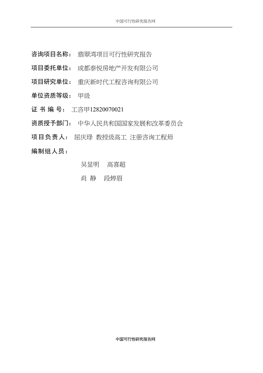 XX项目可研报告-V12.25 (2)（天选打工人）.docx_第2页