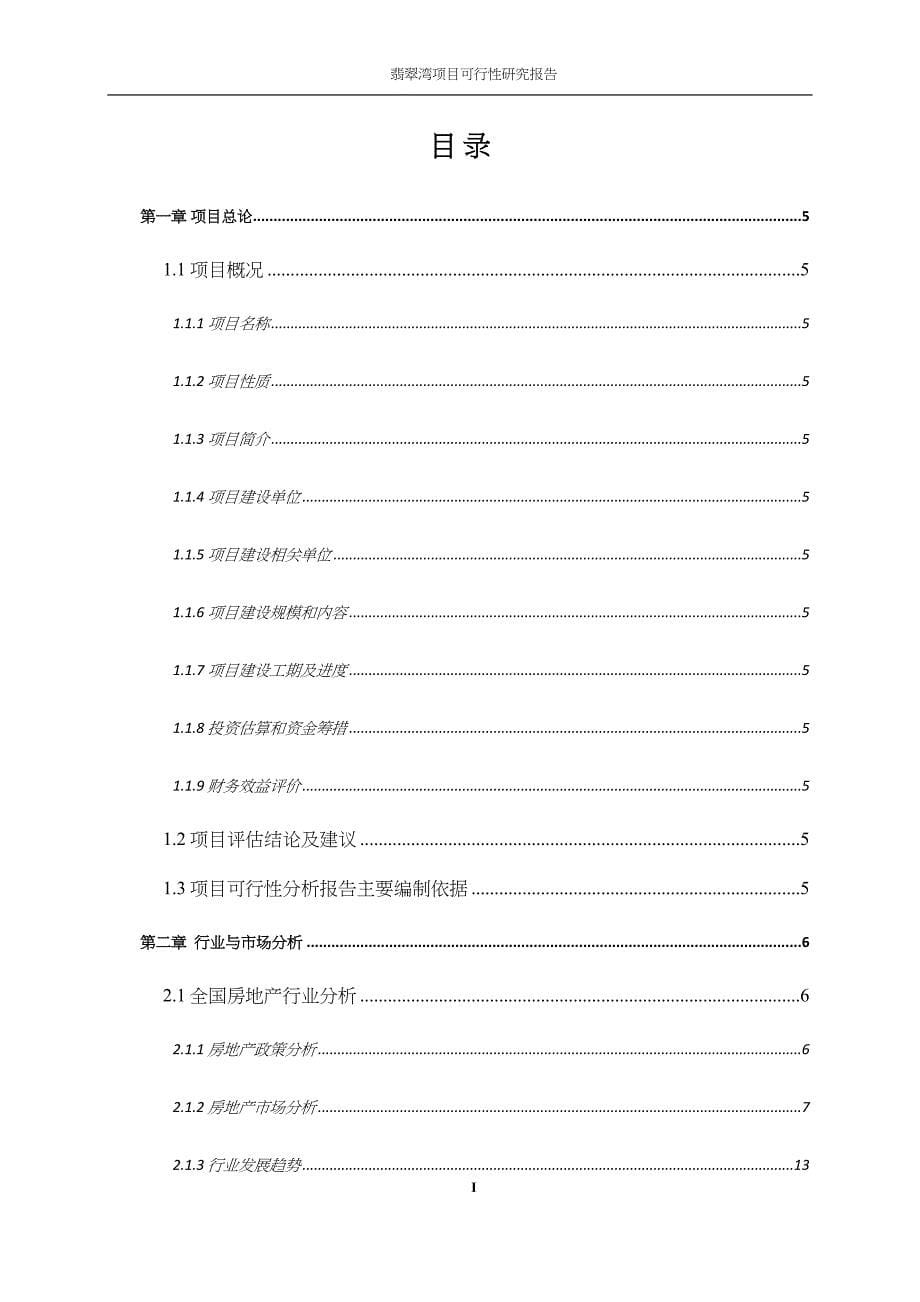 XX项目可研报告-V12.25 (2)（天选打工人）.docx_第5页