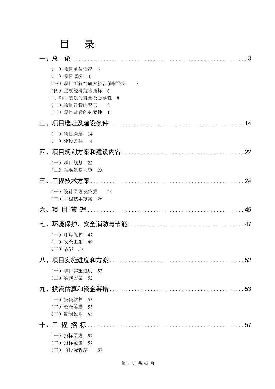 xx镇商业街项目可行性论证报告.doc_第1页