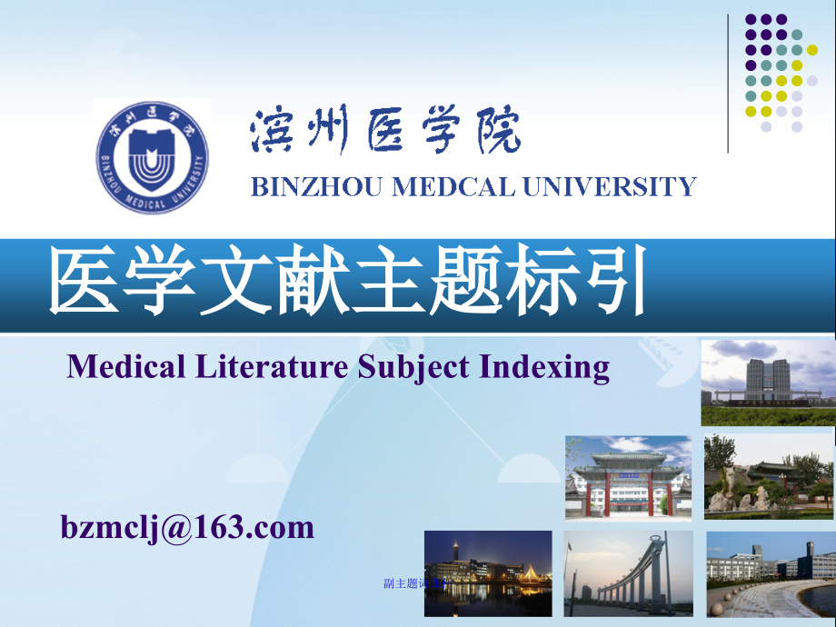 副主题词课件_第1页