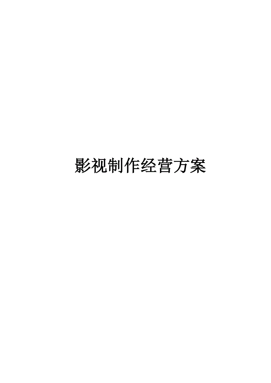 知名影视公司经营计划方案_第1页