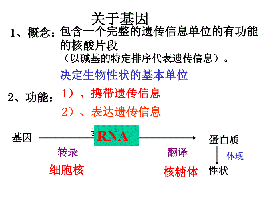 基因表达FLJppt课件_第2页