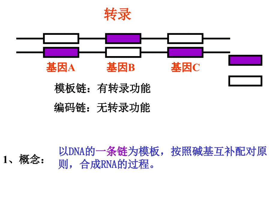 基因表达FLJppt课件_第3页