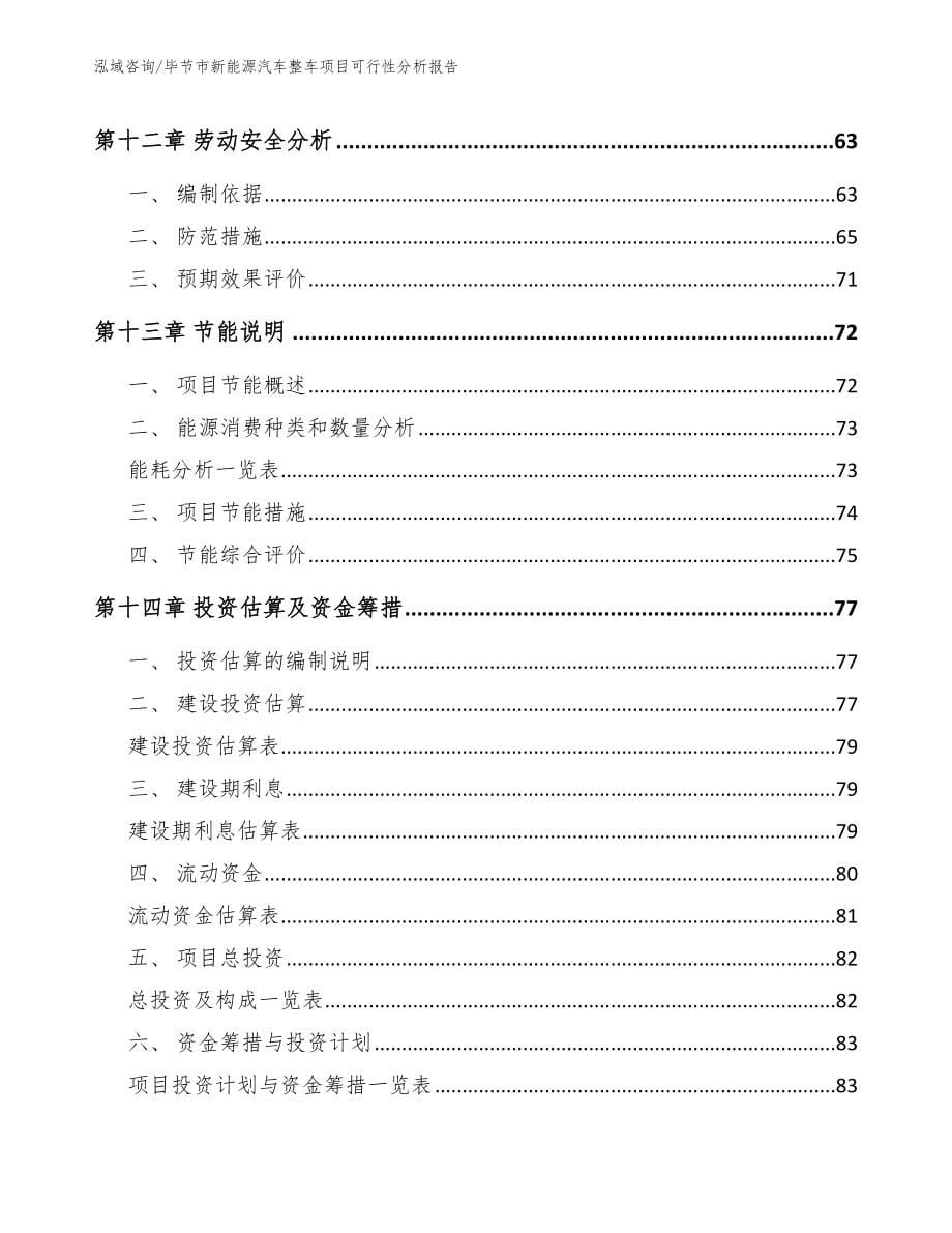 毕节市新能源汽车整车项目可行性分析报告_范文模板_第5页