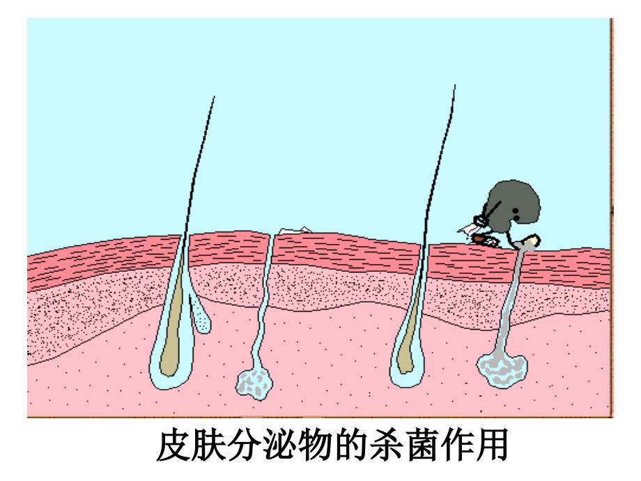 医学课件第二节免疫和计划免疫_第4页