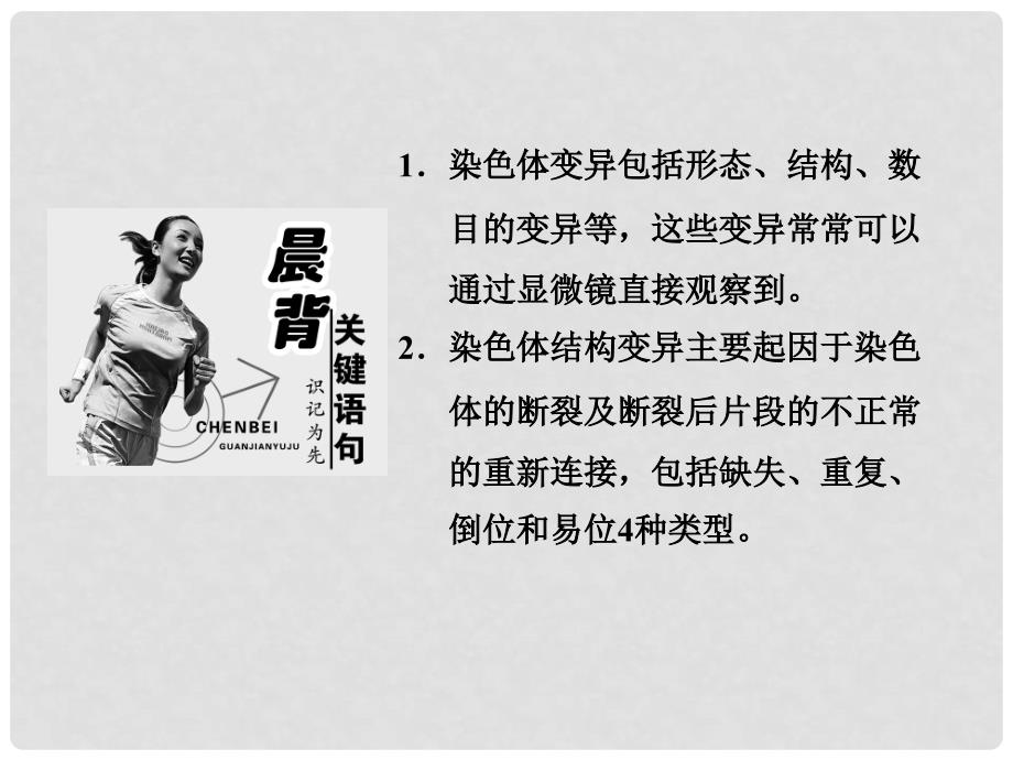 高中生物 第三章 遗传和染色体 第三节 染色体变异及其应用课件课件 苏教版必修2_第4页