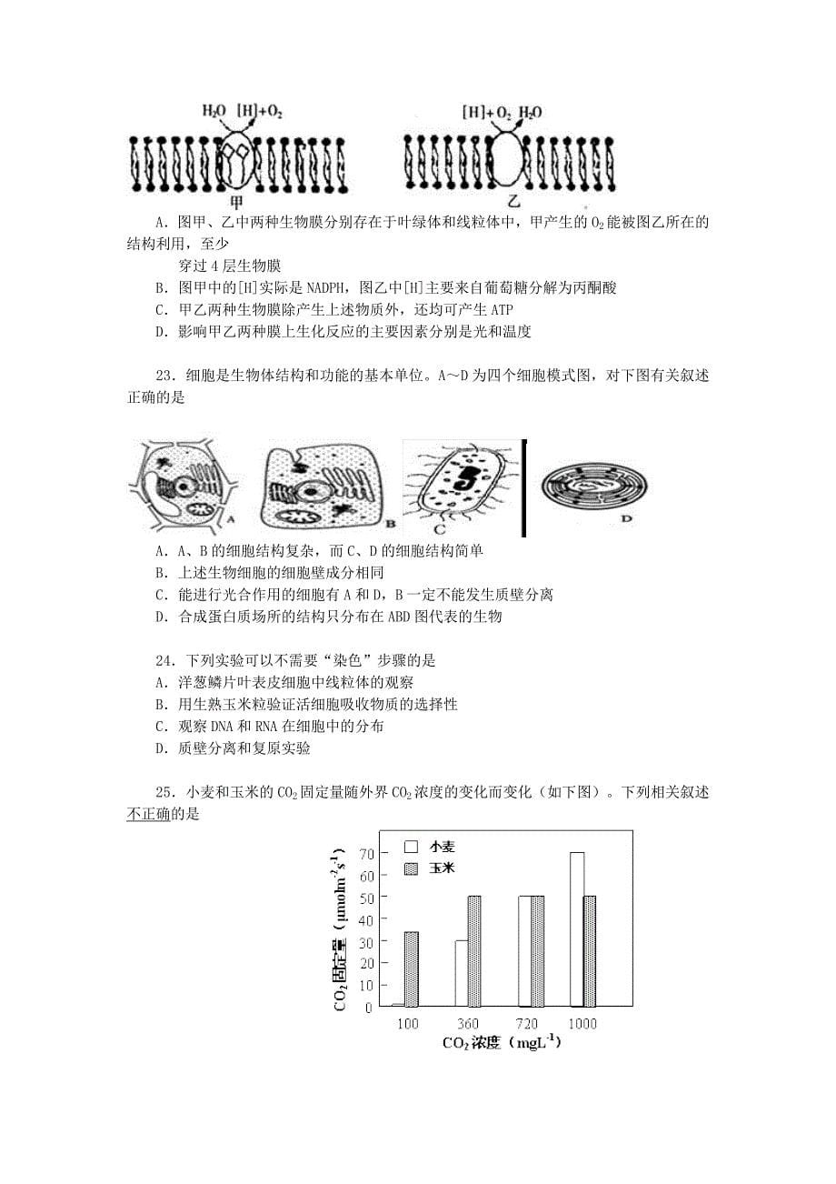 四中周练 细胞结构及代谢综合测试.doc_第5页