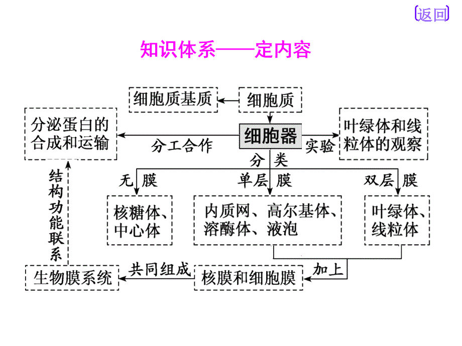 第二讲--细胞器——系统内的分工合作课件_第3页