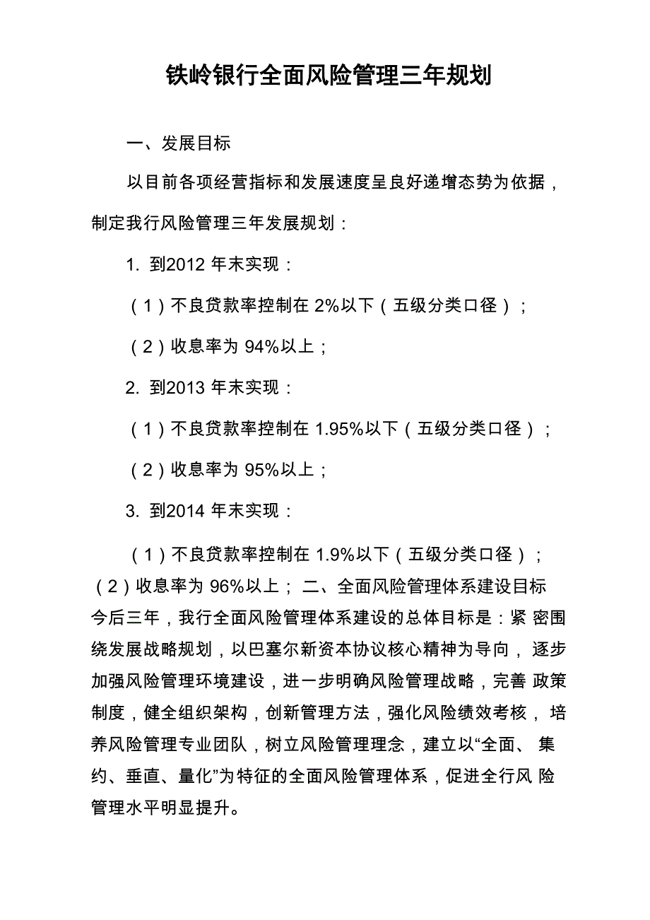 风险管理三年发展规划_第1页