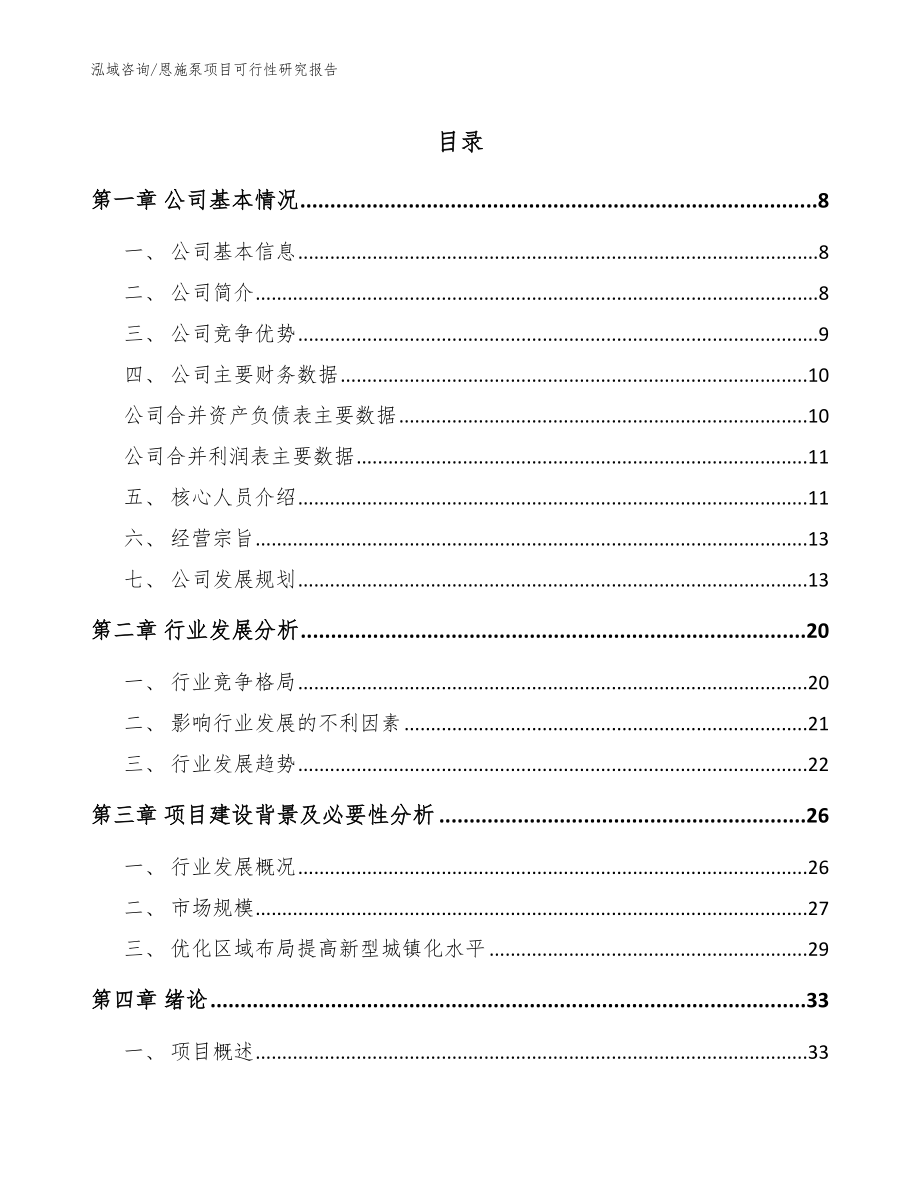 恩施泵项目可行性研究报告_范文_第1页