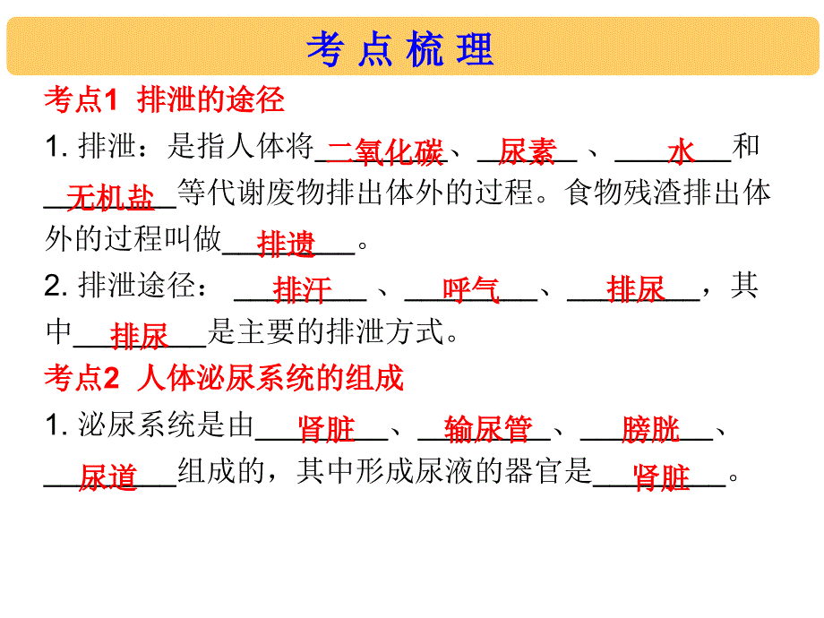 2019年中考生物总复习课件：第四单元第五章 人体内废物的排出_第3页