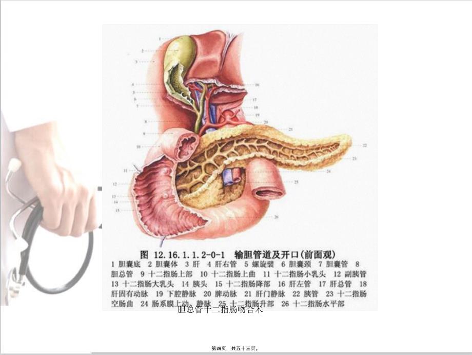 胆总管十二指肠吻合术课件_第4页