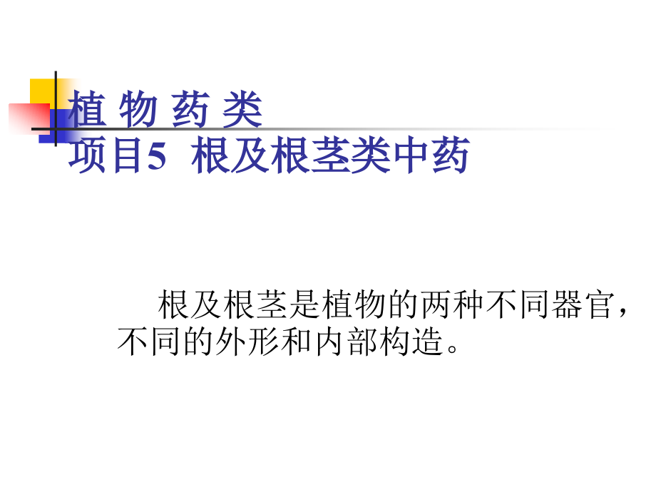 项目6根及根茎类中药p说pt课件_第1页