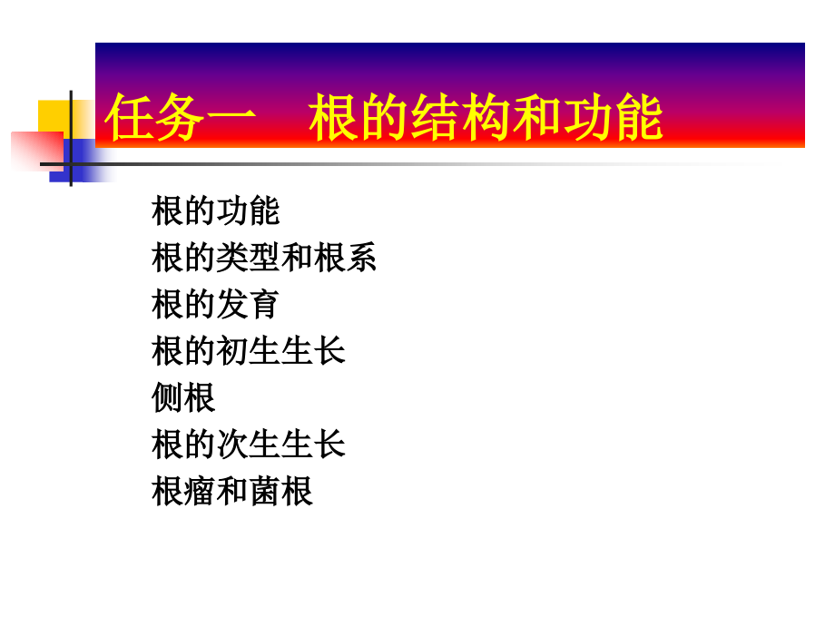 项目6根及根茎类中药p说pt课件_第2页