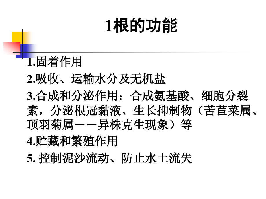 项目6根及根茎类中药p说pt课件_第3页