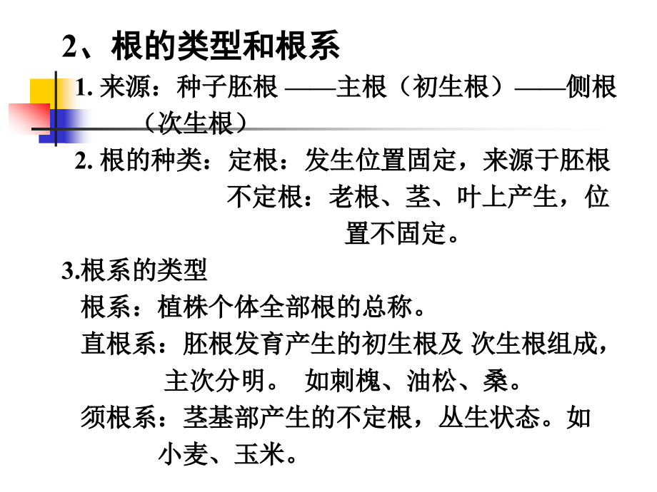 项目6根及根茎类中药p说pt课件_第4页