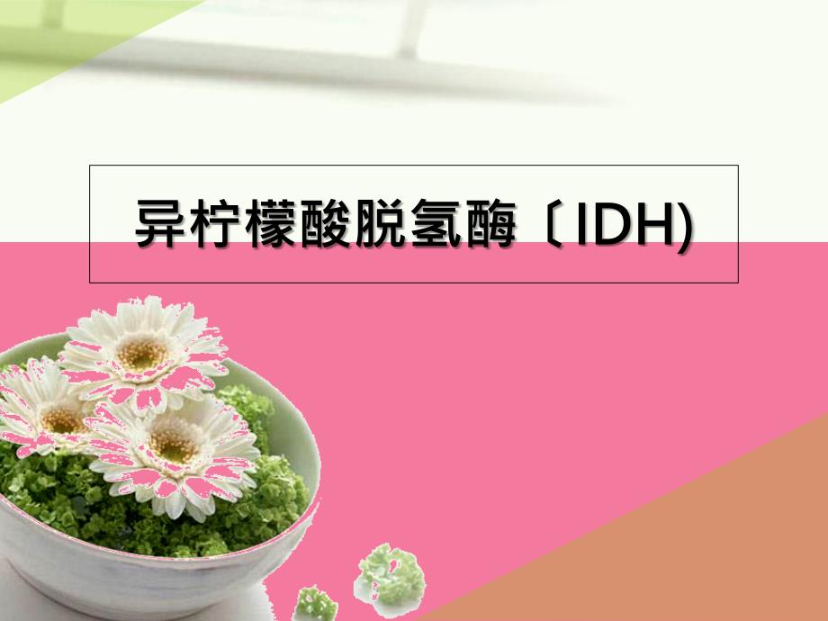 异柠檬酸脱氢酶ppt课件_第1页