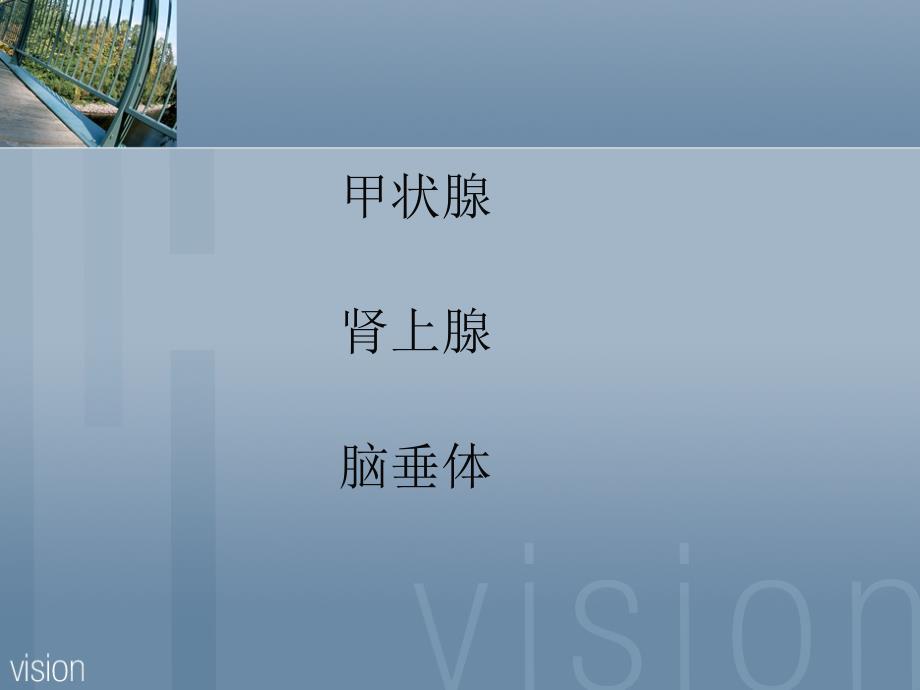 组织学与胚胎学实验课件：实验9 内分泌系统_第2页