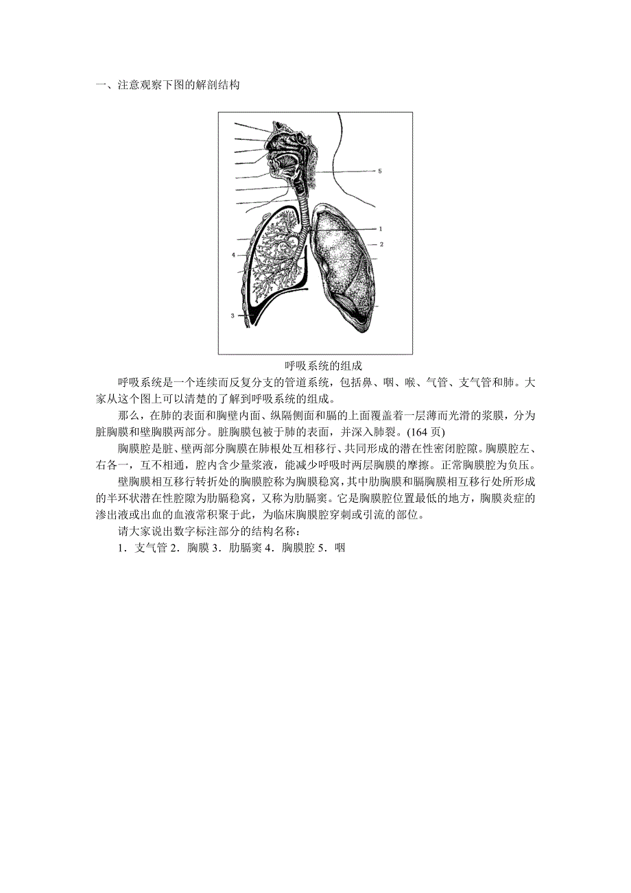 呼吸系统考试.doc_第1页