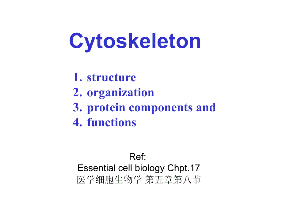 分子细胞生物学：9细胞骨架（师生）_第3页