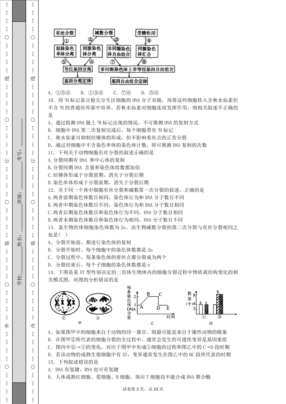 61细胞的增殖_第3页